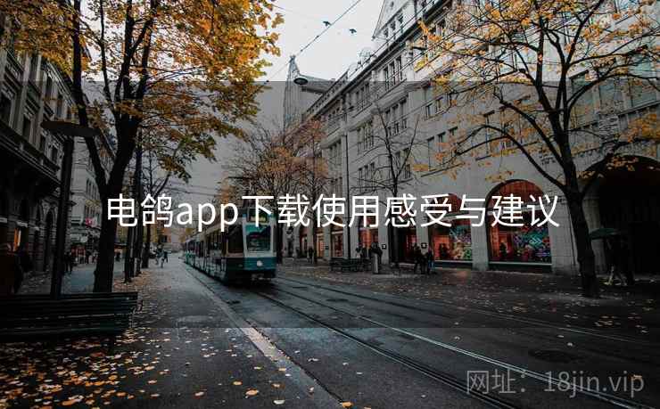 电鸽app下载使用感受与建议