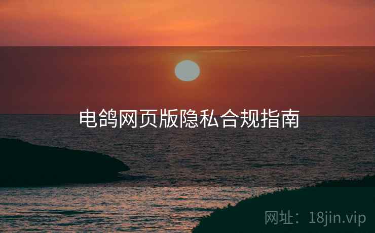 电鸽网页版隐私合规指南