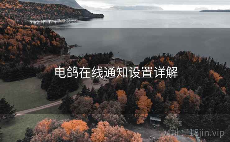 电鸽在线通知设置详解