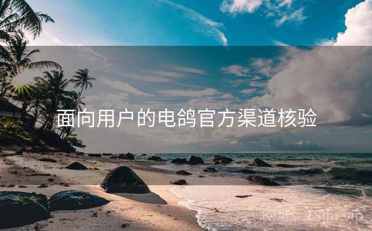 面向用户的电鸽官方渠道核验